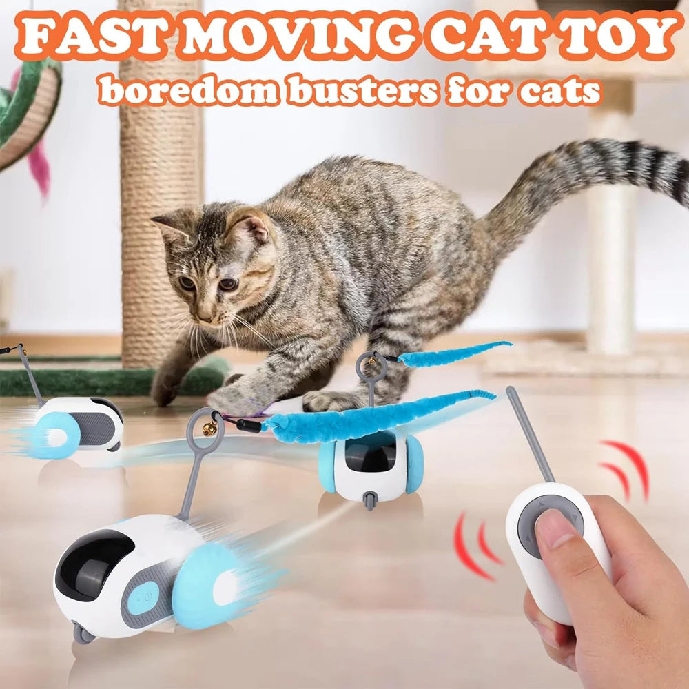 Purr Driver - Houd je kat fit & vermaakt met deze slimme bestuurbare auto