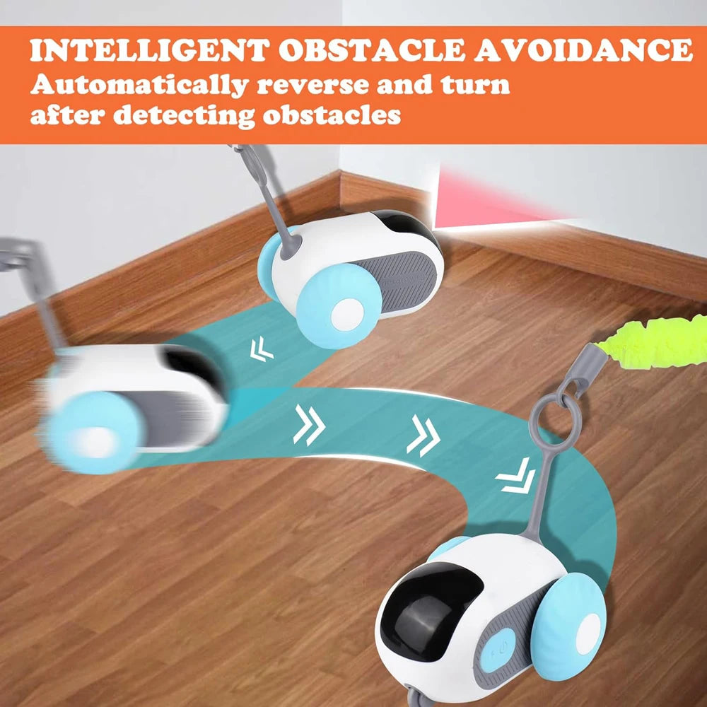 Purr Driver - Houd je kat fit & vermaakt met deze slimme bestuurbare auto